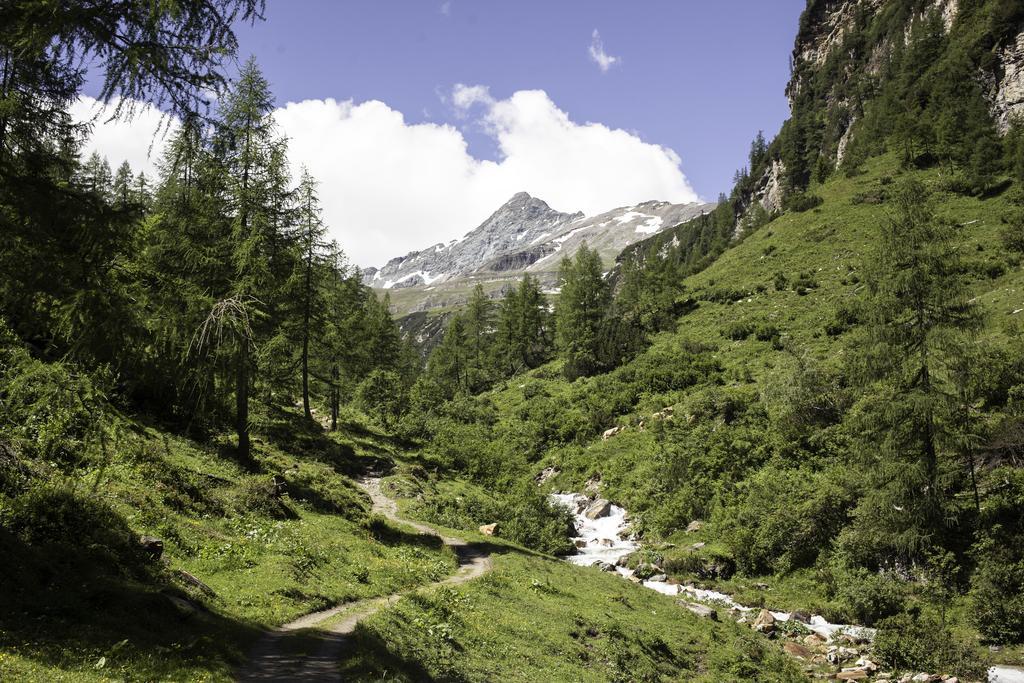Appartamento Obermuehle Rauris Esterno foto