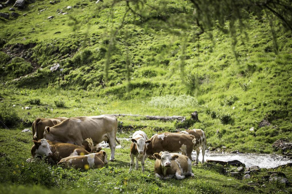 Appartamento Obermuehle Rauris Esterno foto